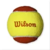 l11068_1000x_4fb83273-6229-42d8-b12b-8854e044cddf_2400x Wilson Starter Tennis Ball