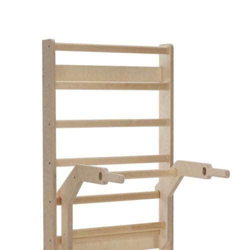 Comprehensive Training Pull-Up Rack